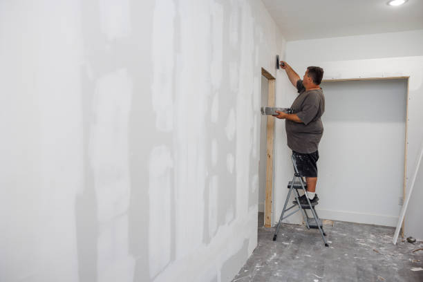 Best Biohazard Mold Removal  in Franklinton, LA