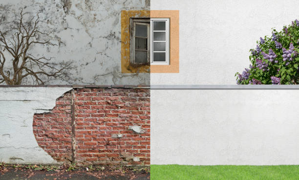 Trusted Franklinton, LA Mold Removal Experts